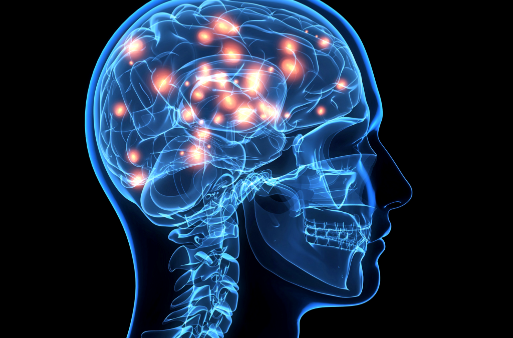 XX Kongres Polskiego Towarzystwa Neuropsychologicznego „Mózg – Język – Zachowanie. Ujęcie Interdyscyplinarne”