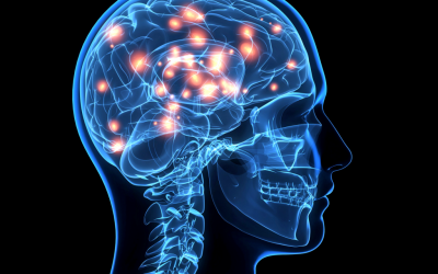 XX Kongres Polskiego Towarzystwa Neuropsychologicznego „Mózg – Język – Zachowanie. Ujęcie Interdyscyplinarne”